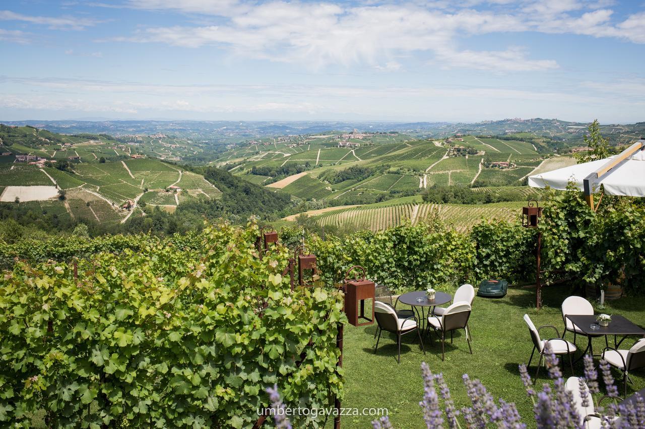 Agriturismo La Torricella Monforte D'Alba Ngoại thất bức ảnh